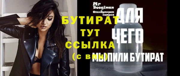 дживик Надым