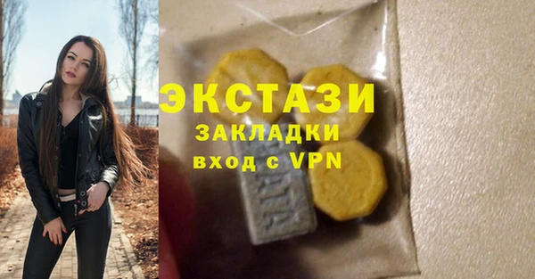 дживик Надым