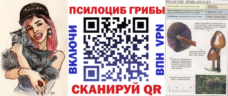 Псилоцибиновые грибы мухоморы  купить закладку  Навашино 