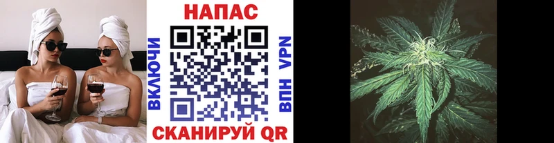 сколько стоит  Навашино  Конопля марихуана 